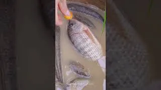 Thumbnail: Catch fish using mini water pump | @MinMinTractor