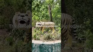 Thumbnail: Funny moments of Minorty Report #minortyreport #nepali #funny