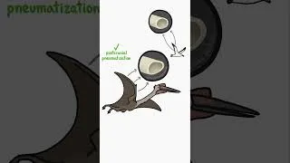 Thumbnail: How can Giant Pterosaurs even fly?