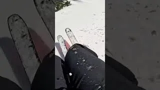 Thumbnail: Just supernice powder skiing in Austria
