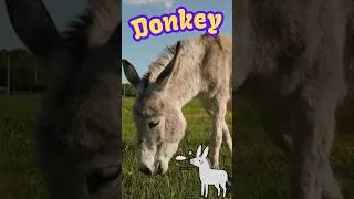 Thumbnail: Farm Animal Sounds for Kids | Fun Learning Song for Toddlers & Babies 🐮🎶 #Shorts