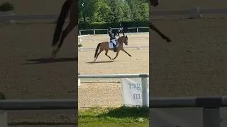 Thumbnail: This pony’s trott 😱🤌🏻🤌🏻 #horse #pony #dressage #horseriding #equestrian #horses #showing #fyp