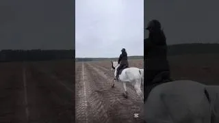 Thumbnail: Just Keep Watching… 🏎️🏇🏁 #horse #equestrian #horsegirl #race #racehorse #horses #horseriding #fyp