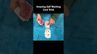 Thumbnail: Final Four Card Trick