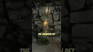 Thumbnail: GET YOUR FREE PET IN POE 2!