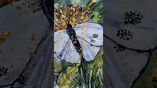 Thumbnail: White Butterfly! #inkillustration #watercolourillustration #fountainpen #ink #watercolor #artshort