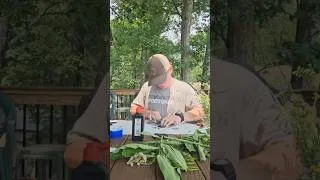 Thumbnail: Trying Wildflower Printing (Plant Gyotaku)!