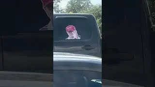 Thumbnail: 😂 POV: You’re just minding your business and Trump pops up in the backseat 😭😂