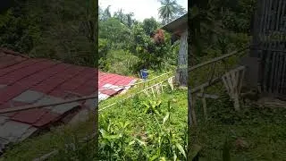 Thumbnail: cuaca yang panas#yutubeshorts