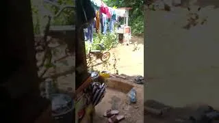Thumbnail: main di warung