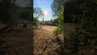 Thumbnail: MisterGarrot Real‑Life Strategy of Making a Beach at the River