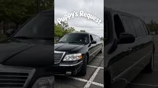 Thumbnail: Puppy's Request #shortvideo #viral #viralvideo #viralshorts #shortsfeed #comedy #funny #shorts #lol
