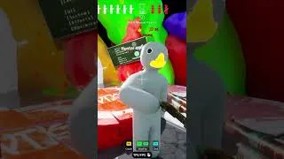 Thumbnail: Why Did You Do This