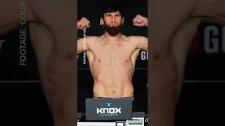 Thumbnail: Magomed Ankalaev, Bogdan Guskov make weight for UFC Abu Dhabi