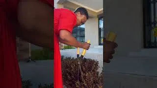 Thumbnail: Life in the village