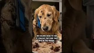 Thumbnail: …like I didn’t already eat it