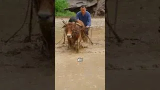 Thumbnail: This 10,000-Year-Old Farming Method Still Works