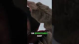 Thumbnail: Can Medieval Clothes REALLY Keep You Safe Outdoors?