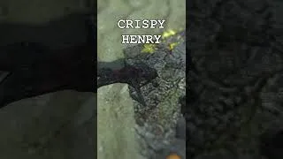 Thumbnail: Crispy Henry's Secret Stash #shorts #halflife