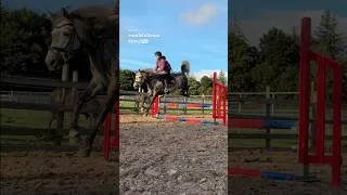Thumbnail: this is SO COOL! 🙏🏻✨ #horse #horses #horseriding #horsegirl #riding #equestrian #pony #horsey