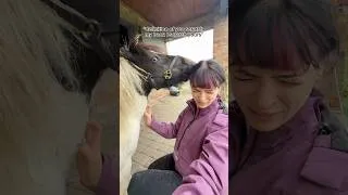 Thumbnail: he is OBSESSED. #horse #horses #horseriding #horsegirl #riding #equestrian #pony #horsey #horsefan