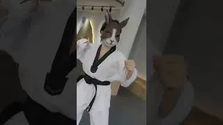 Thumbnail: CEO's Sweet Little Wife is a KARATE MASTER??!