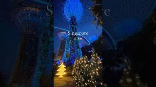 Thumbnail: Have you been to Singapore during Christmas? 🎄✨🇸🇬 #singapore #gardensbythebay #christmas