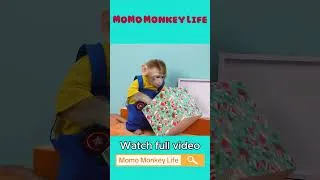 Thumbnail: Monkey MoMo Becomes Santa Claus and Gives Gifts to Baby Monkey 🎅🐒 | MoMo Monkey Life