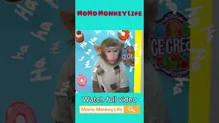 Thumbnail: Monkey MoMo and Baby Monkey Go Selling Ice Cream – A Fun and Adorable Adventure 🍦🐒