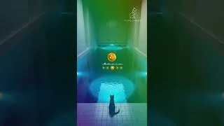 Thumbnail: Escape to the Midnight Pool 💧