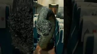 Thumbnail: 🔥Adrenaline Overload! A Father Takes on a Giant Python to Save His Daughter👊🐍#movie #film #python