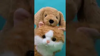 Thumbnail: 🐶Do the Animal Dance!🕺🪩 | Little Angel | Moonbug Kids - Fun Songs With Friends #shorts