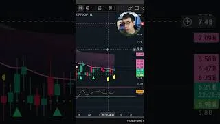 Thumbnail: How Crypto Capital Rotates