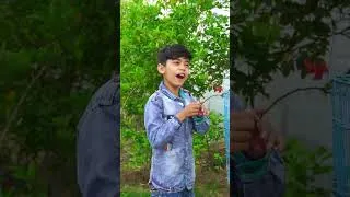 Thumbnail: parindon ko kaid mat karo 😭💔🙏🏻 #trending #emotional #shorts |#garib  #hearttouching| MoonVines