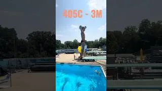 Thumbnail: How Many Flips is That? Score this Dive 0-10 #ripfestdiving