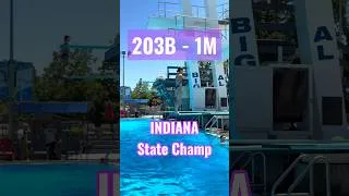 Thumbnail: Indiana Girls State Champion performs Back 1-1/2 on 1 Meter #ripfestdiving #bestofthebest