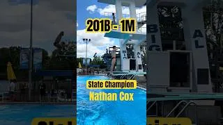 Thumbnail: Can you score this dive accurately? #ripfest #nathan