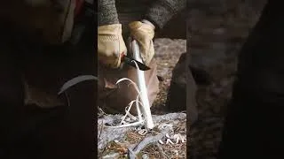 Thumbnail: What made you start bushcrafting?