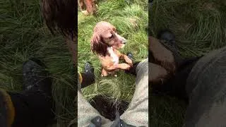 Thumbnail: Not Touching (Can’t Get Mad)