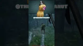 Thumbnail: Helmet Check!