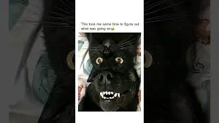 Thumbnail: It took me a while to figure out what was going on 😳😂