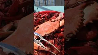 Thumbnail: Is This The Home Of New Orlean's Best Seafood? The Blue Crab Restaurant & Oyster Bar #crawfish #crab