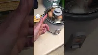 Thumbnail: Egg and Chicken Reunion | Short