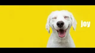 Thumbnail: This is a morphic field designed to fill you with joy