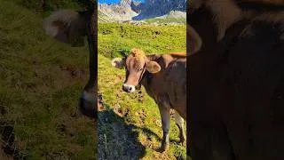 Thumbnail: You'll never guess where this is #mountains #shorts #naturelovers