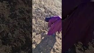 Thumbnail: The freezing of the earth, the nomadic mother, life in harsh conditions.