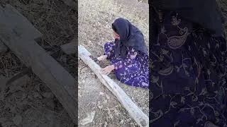 Thumbnail: Narges, the nomadic mother