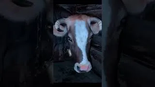Thumbnail: Grandma's Morning Routine on a Mountain Farm! 🐄☀️ #Shorts