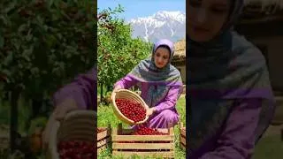 Thumbnail: Rural Cooking in the High Mountains of Iran