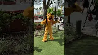Thumbnail: Pluto Leads Exercises at Disney’s Hollywood Studios